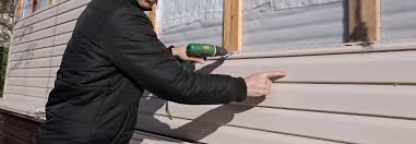 Best Custom Trim and Detailing for Siding  in Coyne Center, IL